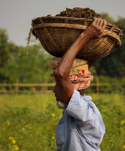 a farmer is working