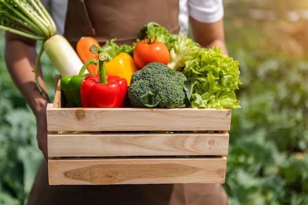 Farmer man holding wooden box full of fresh raw vegetables Basket with fresh organic vegetable and peppers in the handsxA