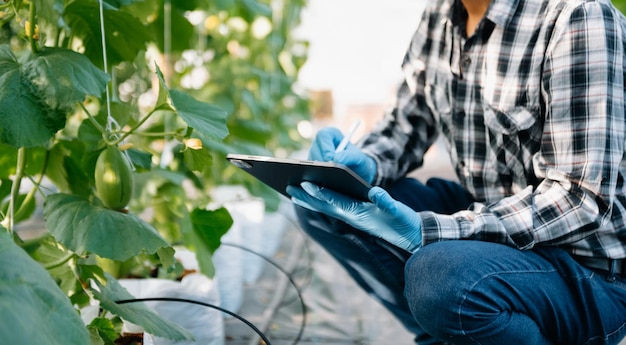 Farmer man using digital tablet computer in field technology application in agricultural growing activity xA