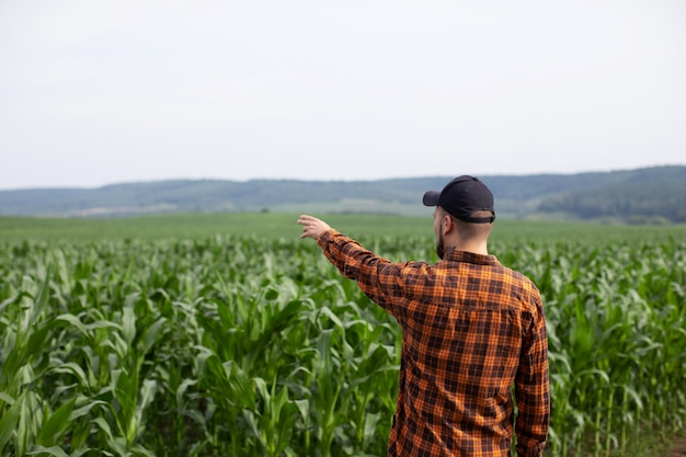 Farmer points to a green field of corn. A