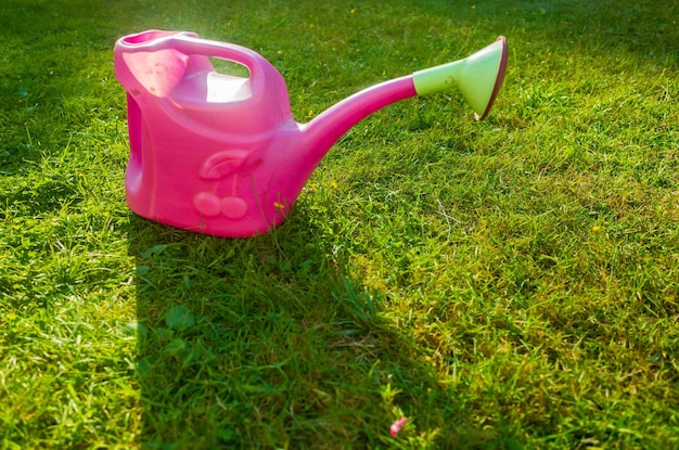 Farmer's garden tool watering can Gardening concept Agricultural work on the plantation