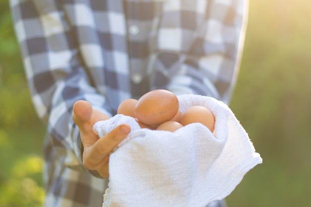 Farmer's hands holding some natural eggss