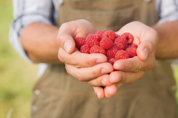 Farmer showing his organic raspberries