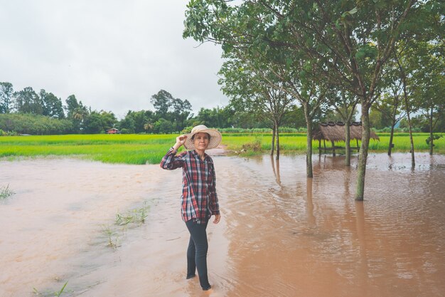 Farmer sitting in flooded walkway on rice field