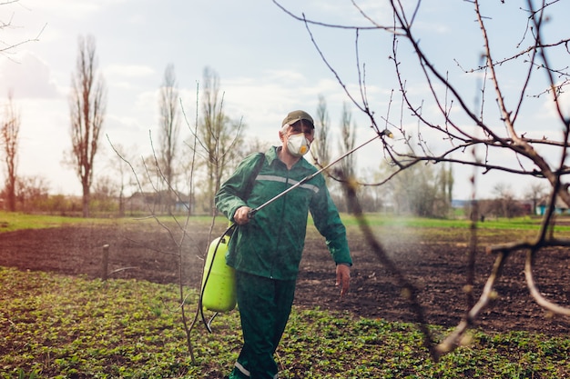 Farmer spraying tree with manual pesticide sprayer against insects in autumn garden. Agriculture and gardening