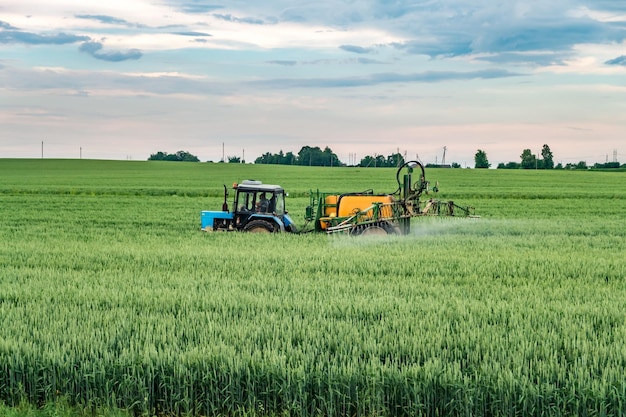 Farmer spraying wheat field with tractor sprayer at spring season