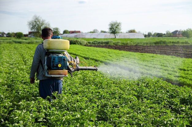 A farmer sprays chemicals on a potato plantation field Increased harvest