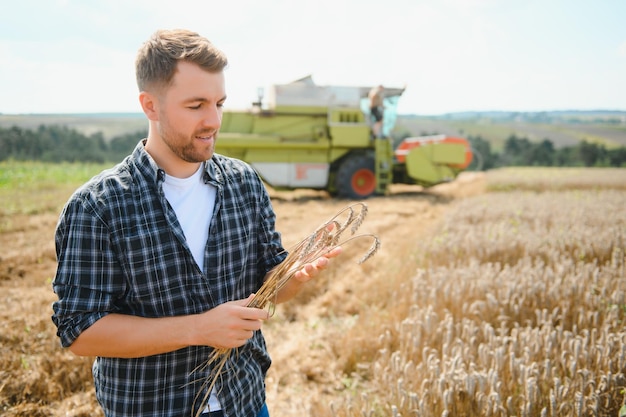 Farmer Standing In Wheat Field At Harvest