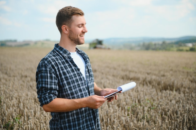 Farmer Standing In Wheat Field At Harvest