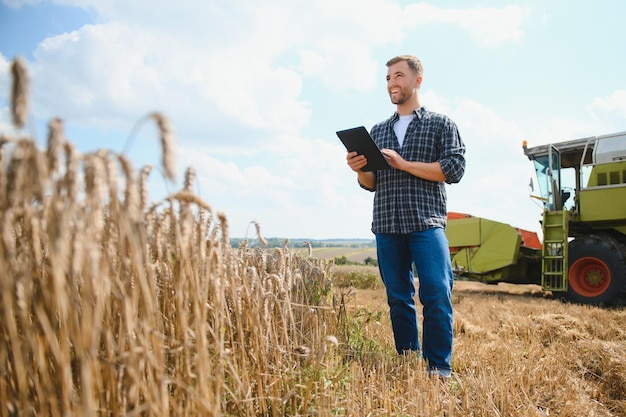 Farmer Standing In Wheat Field At Harvest