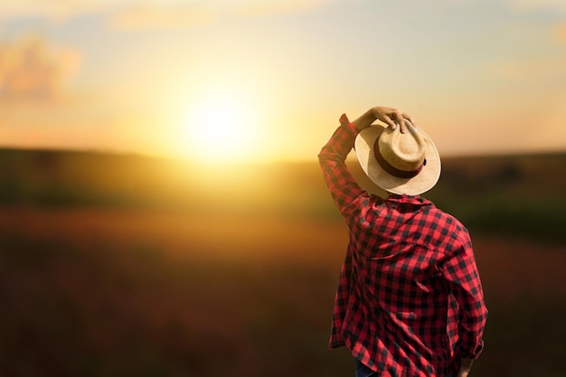 Farmer at sunset outdoor