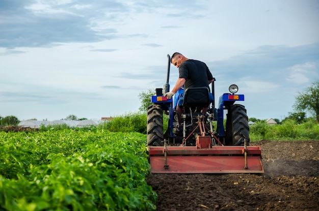 A farmer on a tractor removes the tops after harvesting Development of agricultural economy Farming agriculture Loosening surface land cultivation Plowing Preparing farm land for a new planting