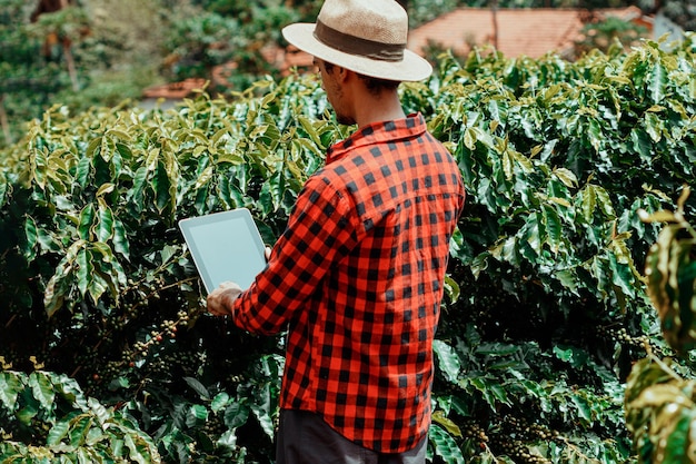 Farmer using digital tablet computer in cultivated coffee field plantation Modern technology application in agricultural growing activity