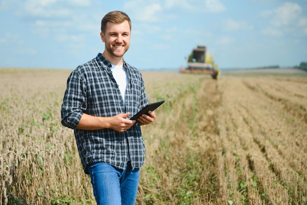 Farmer In Wheat Field Inspecting Crop Farmer in wheat field with harvester