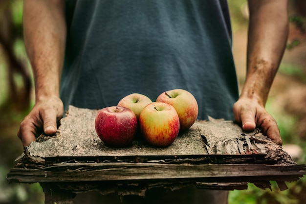 Farmer with apples