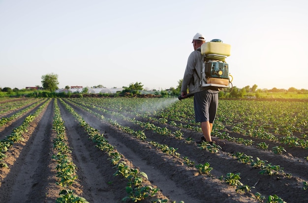 A farmer with a backpack spray sprays fungicide and pesticide on potato bushes Protection of cultivated plants from insects and fungal infections Use of chemicals for crop protection