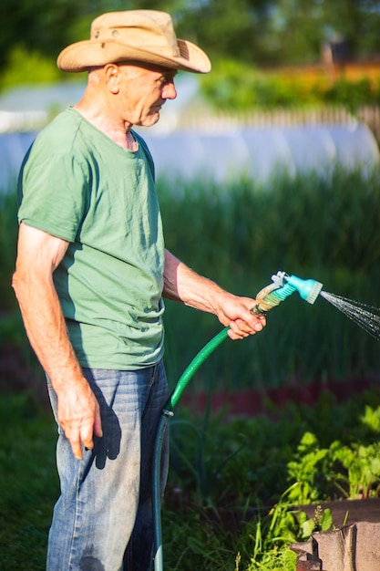 Photo farmer with garden hose and gun nozzle watering vegetable plants in summer gardening concept agriculture plants growing in bed row