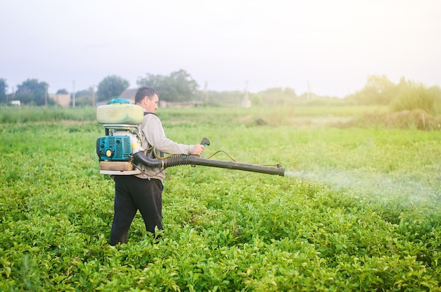 A farmer with a mist sprayer blower processes the potato plantation from pests and fungus infection