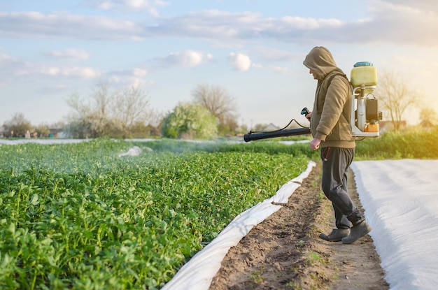 A farmer with a mist sprayer sprays fungicide and pesticide on potato bushes Protection