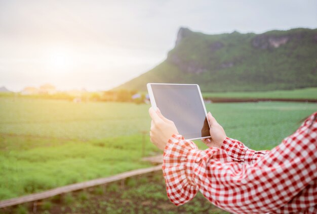 farmer with a tablet in a cultive