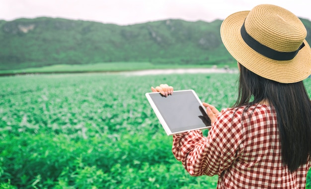 farmer with a tablet in a cultive