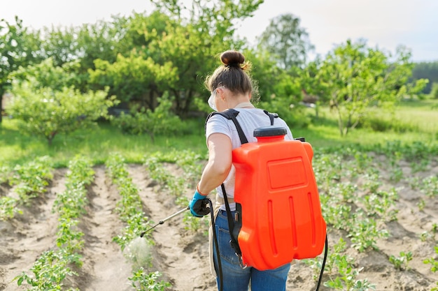 Farmer woman spraying potato plants in vegetable garden