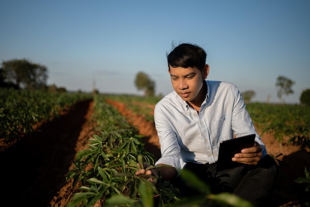 Farmer working while using a digital tablet in the a field in the sunset