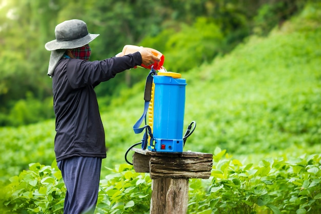 Farmers are preparing insecticide spraying in soybean field.