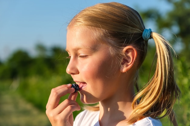 Farmers young daughter harvests blueberries from a bush and enjoy taste of berry