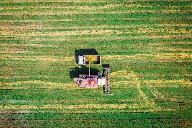 Farming field top view harvester harvesting in truck