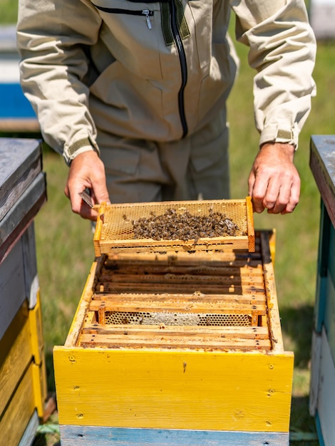 Farming lifestyle apiculture working Honey making steel equipment