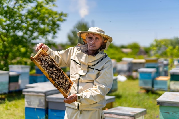 Farming sweet honey specialist Apiary beekeeper working with honeycombs