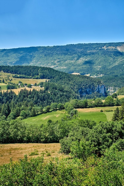 Farmland with lush meadows hills and a mountain covered with greenery in the countryside Scenery of a calm green field in nature Natural view of a green landscape in the outdoors on a sunny day