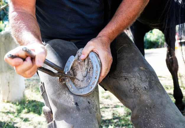 Farrier works in a field