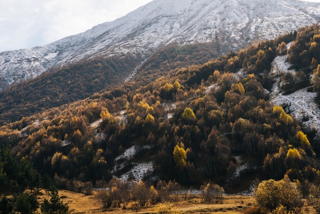 Fascinating magical nature, high mountains and hills covered with white snow, many trees