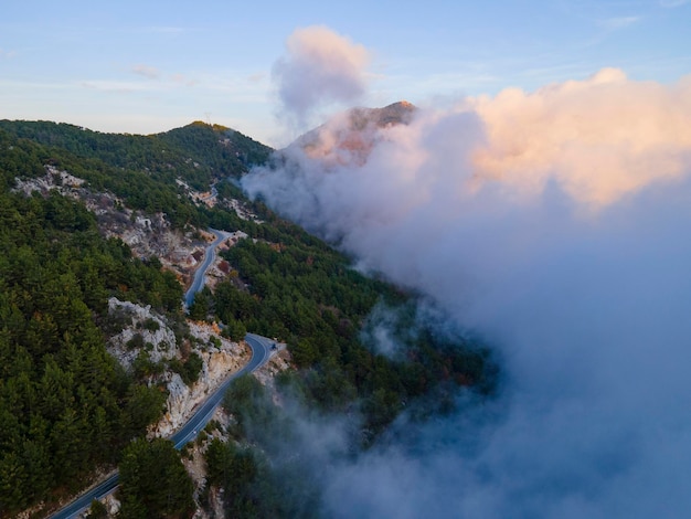 fascinating view of cloud and forest over the valley