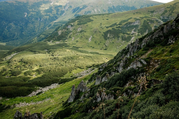 Fascinating view of the top of Mount Spitz of the Carpathian Mountains, Ukraine.