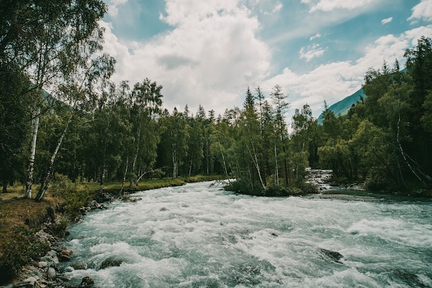 The fast flowing crystal clear waters of the River during early spring run. Mountain river flows in the forest. Beautiful wildlife landscape.