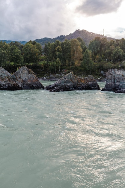 A fast-flowing wide and full-flowing Big mountain river. Large rocks stick out of the water.