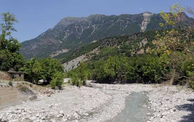 Fast mountain river on a summer day