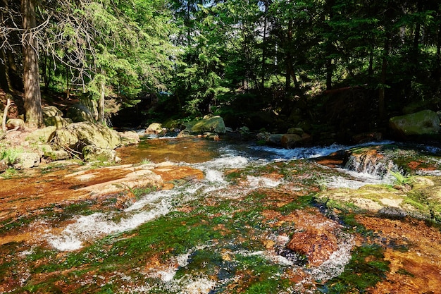 Fast mountain river with cascades in Karpacz Poland