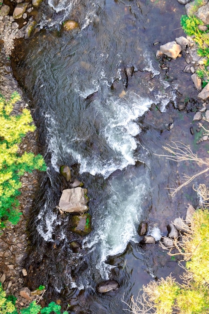 Fast mountain stream among rocks and plants a top view