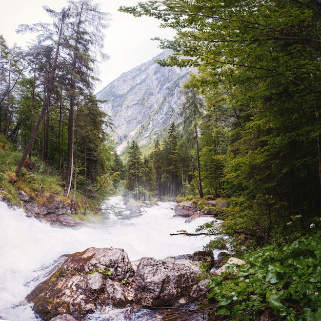 Fast river in the mountains