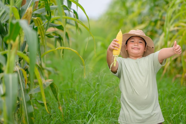 Fat boy Enjoy delicious fresh corn in the corn plantation Fat boy concept Child farmer holding corn