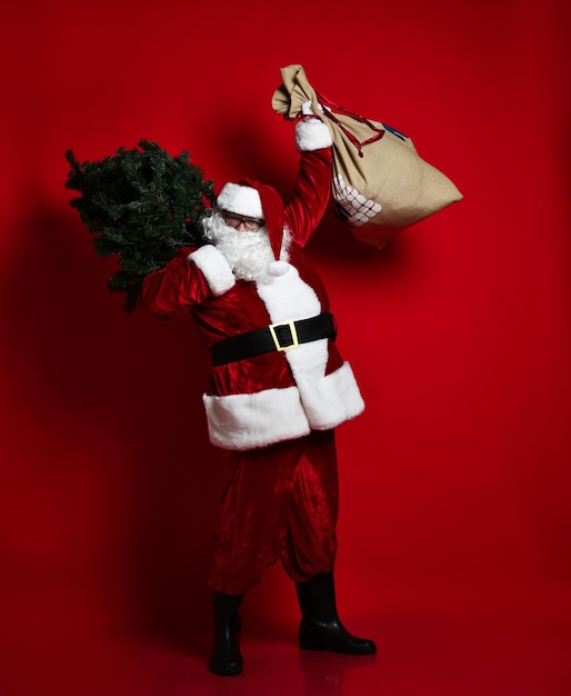 Photo fat santa claus is in a hurry for a holiday to you. he has a christmas tree on his shoulder and he lifted up a large bag of gifts. on a red background.