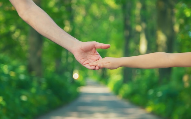 Father and child holding hands