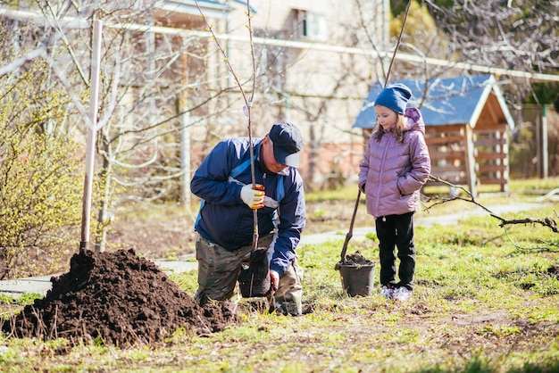 A father and his daughter are planting a fruit tree