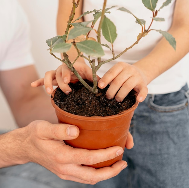 Father and son holding pot of plant