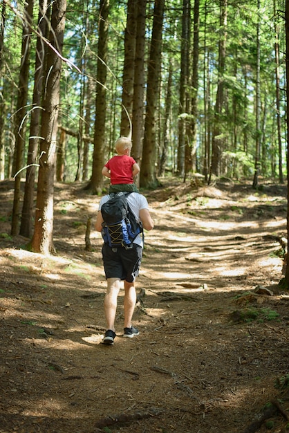 Father with backpack and young son on his shoulders walking on a coniferous forest. Back view. Activities and tourism