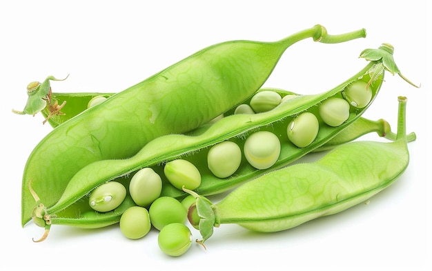 Photo fava bean on clean white surface